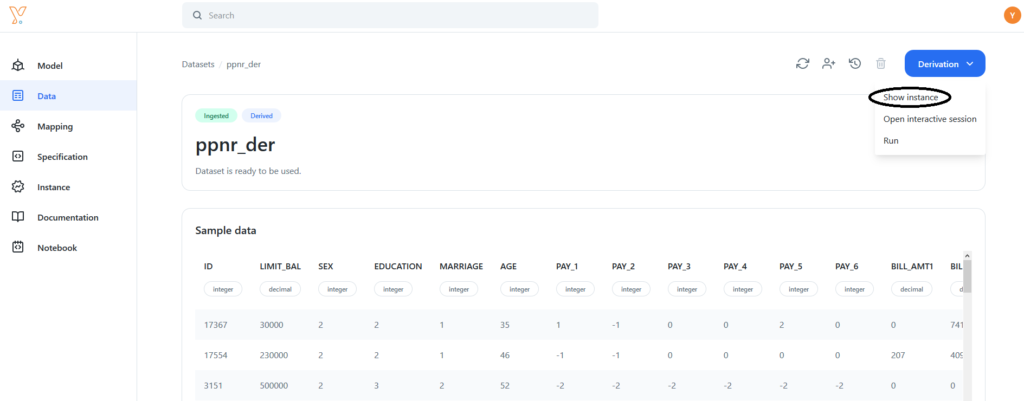 Chiron platform - show instance