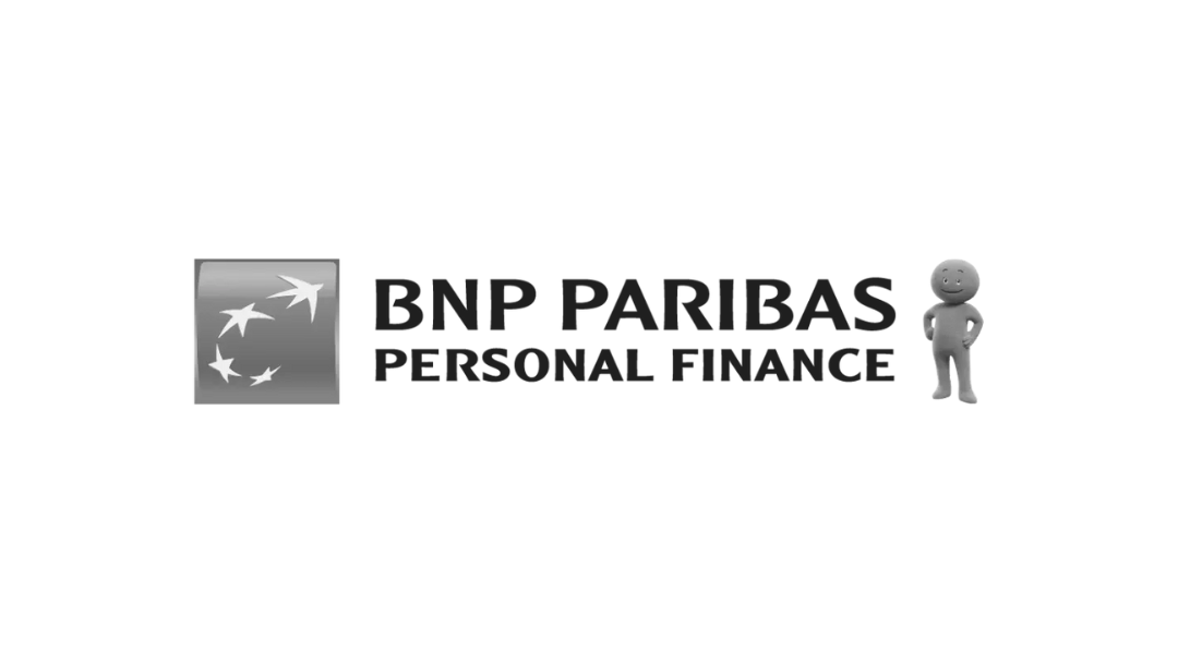 Bnp paribas edited