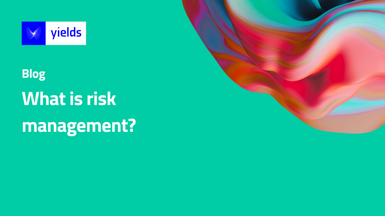 What is risk management