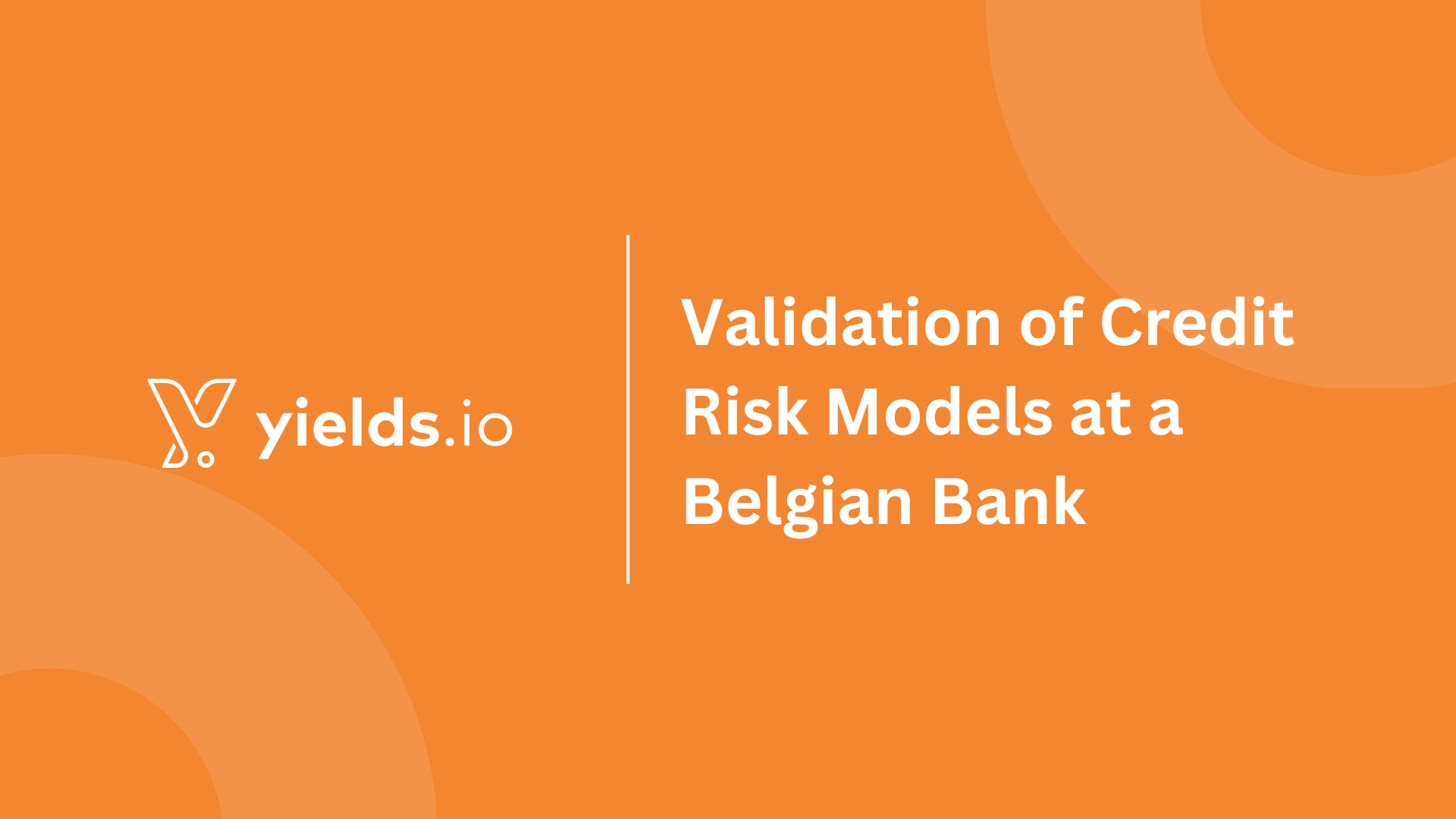 Validation of Credit Risk Models at a Belgian Bank