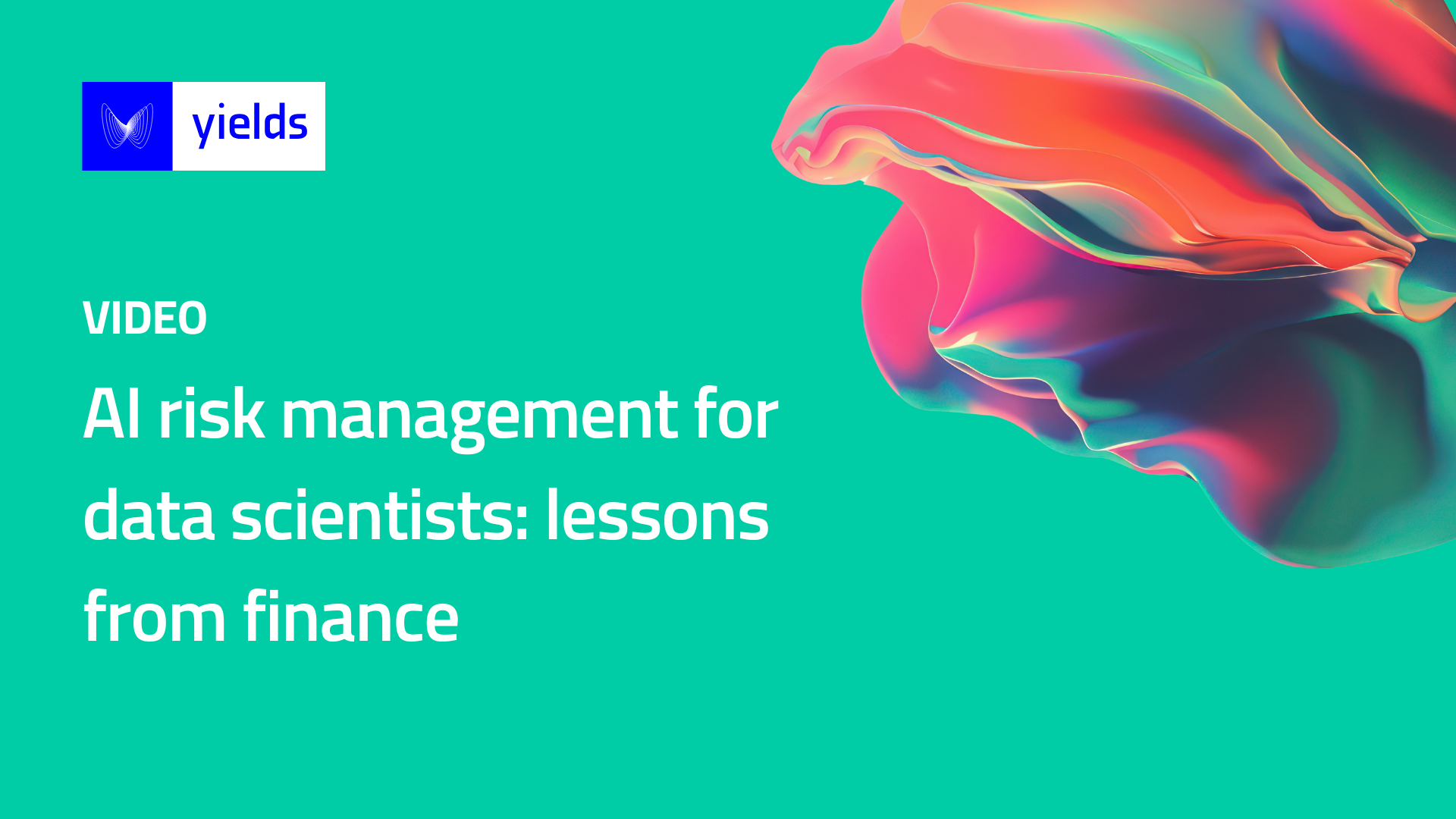AI Risk Management for Data Scientists Lessons from finance