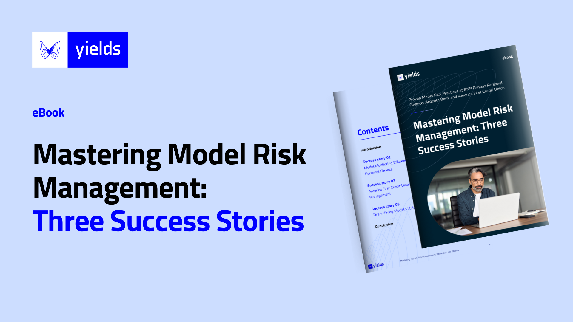 Mastering Model Risk Management: Three Success Stories
